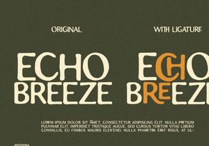 Antichona - Rough Sans Font