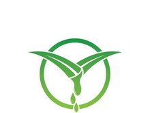 Aloe Vera logo icon design symbol beauty skin care