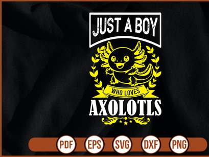 Just A Boy Who Loves Axolotls