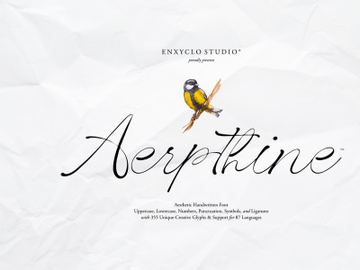 AERPTHINE - Aesthetic Script Font preview picture