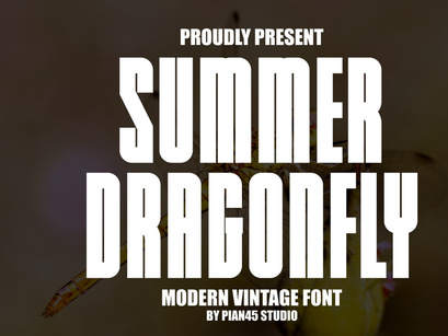 Summer Dragonfly - Modern Vintage Font