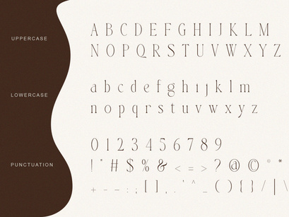 Bingkow modern display serif