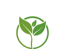 Logos of green tree leaf ecology nature element vector