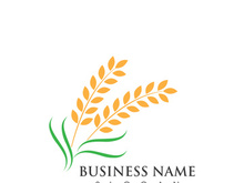 Agriculture wheat logo and symbol vector