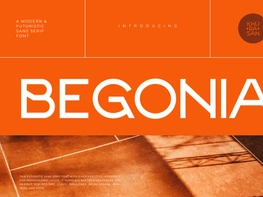 Begonia preview picture