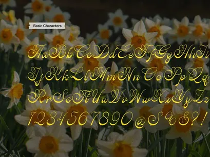 Rastiya Daffodil | Handwritten Script