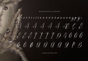 Dialmeray | Elegant Calligraphy Script