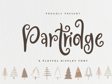 Partridge - Playful Font preview picture