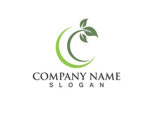 Eco Energy Vector Logo with leaf symbol. Green color with flash or thunder graphic. Nature and electricity renewable. This logo is suitable for technology, recycle, organic.