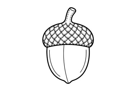 Close-up of an acorn with textured cap and smooth nut. Nature-inspired design element for autumn themes.