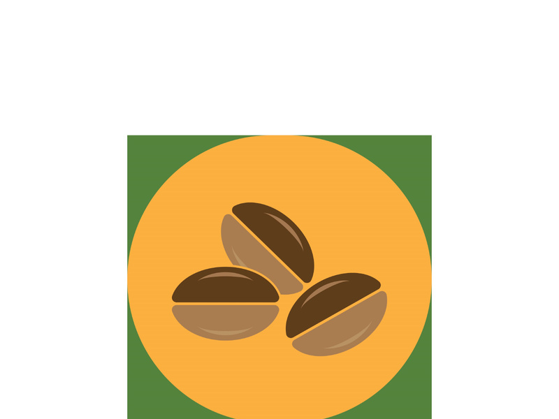 coffee bean icon vector illustration template