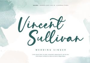 Haland - Modern Script Font