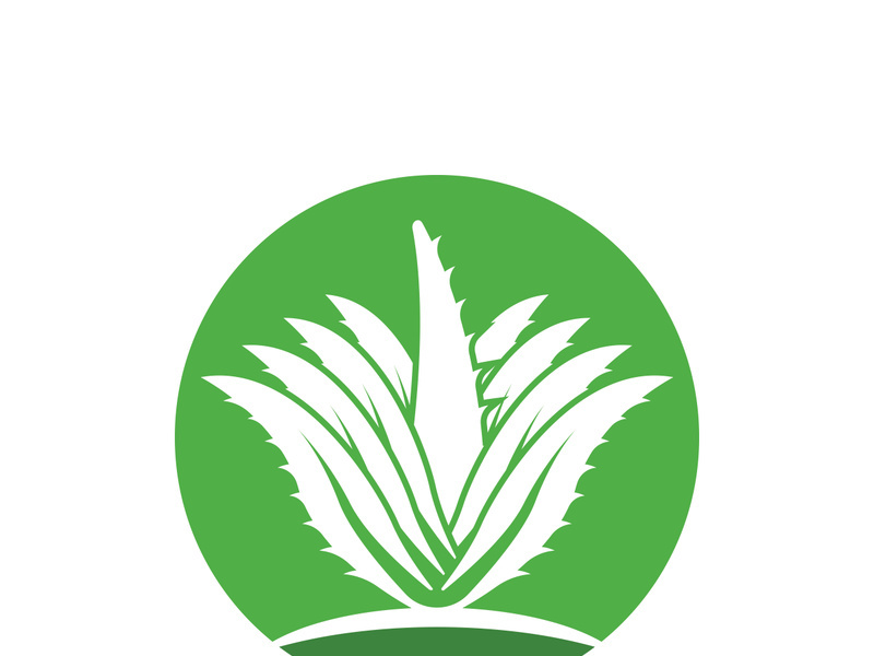 Aloe Vera logo icon design symbol beauty skin care