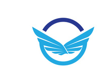 Wing Bird logo images illustration design