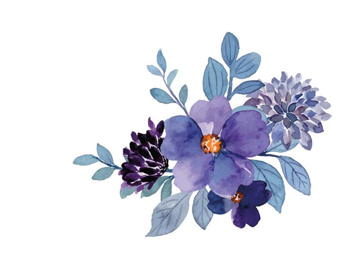 Vector Flower Watercolor Illustration