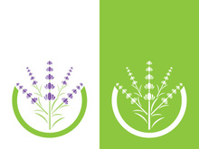 Fresh lavender flower logo vector flat design