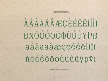 Defilao Vertes | New Vintage Serif