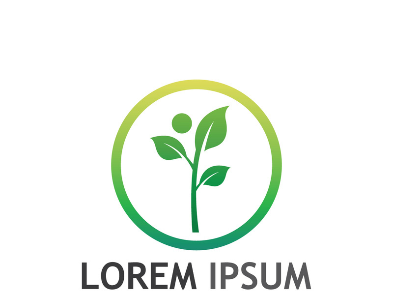 Natural green leaf logo.