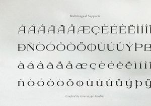 Dyrenko | Display Serif Font
