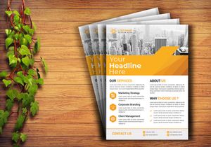 Professional Flyer Design Template