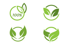 green leaf nature element ecology vector design