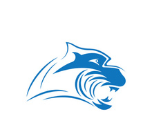 Panther head logo icon vector design template illustration