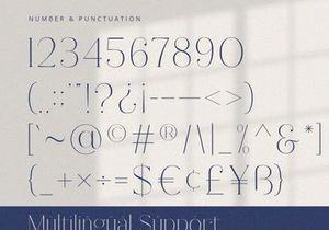 Fracture - Serif Font
