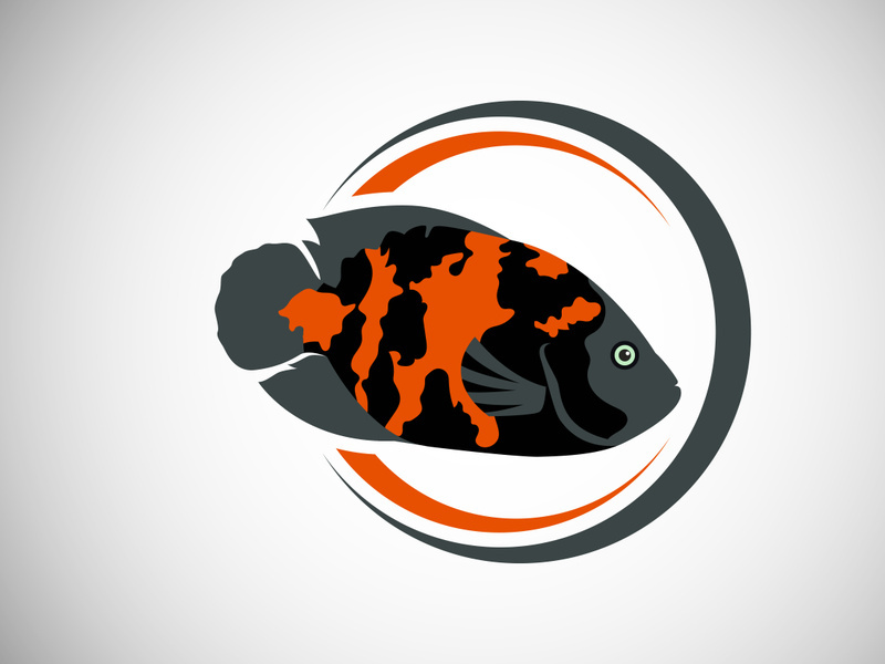 Oscar Fish in a circle. Fish logo design template. Seafood restaurant shop Logotype concept icon.