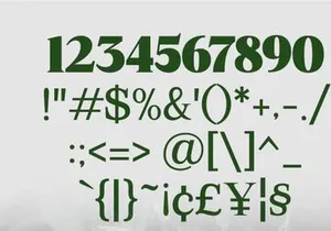 Mount Sagilite – Modern Serif Family Typeface with Variable Font