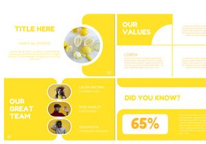Shin Presentation Template