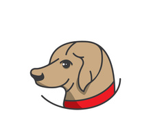 Dog logo vector design icon illustration template