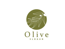 Olive Oil Logo, Olive Leaf Plant Herbal Garden Vector