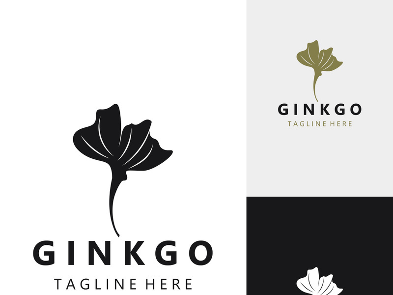 Ginkgo leaf biloba logo nature. Healthy ingredient that is used in medicine for disease treatment with line art style design