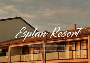 Palfian | Brush Solid Script
