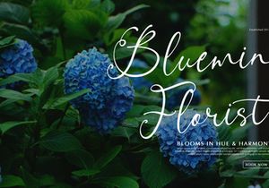 Alveykina | Beauty Handwritten Font