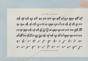 Velmaford | Casual Elegant Script