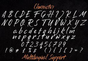 Romantika Hidup - Dry Brush Script Font