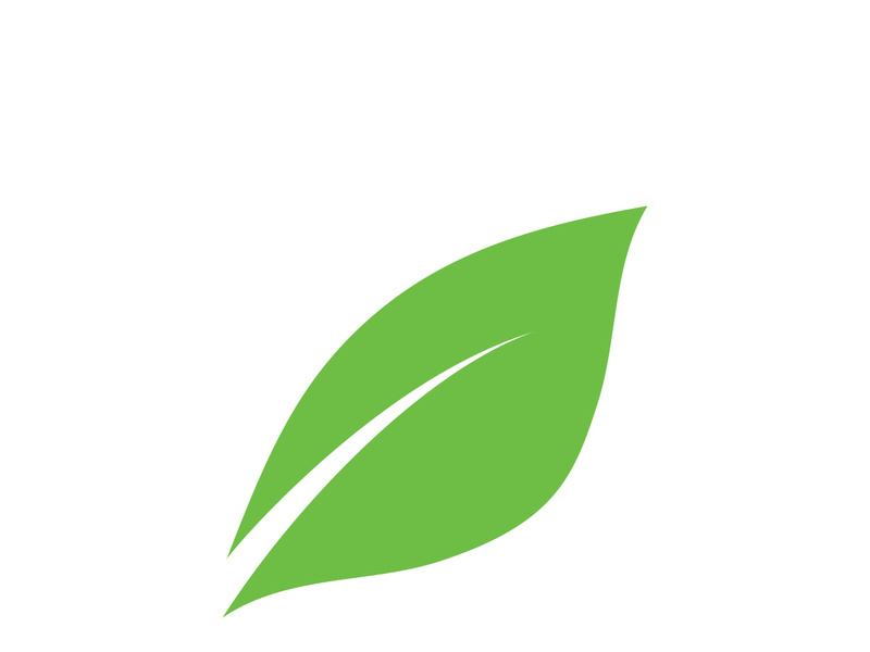 leaf logo green ecology nature element vector image