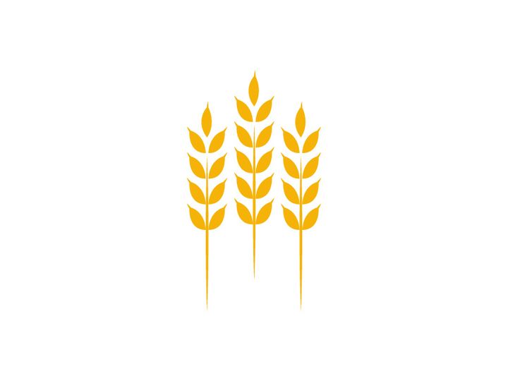 Agriculture wheat rice icon illustration