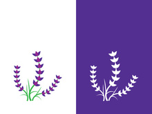 Fresh lavender flower logo vector flat design