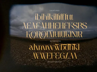 Welp Clair | Display Serif
