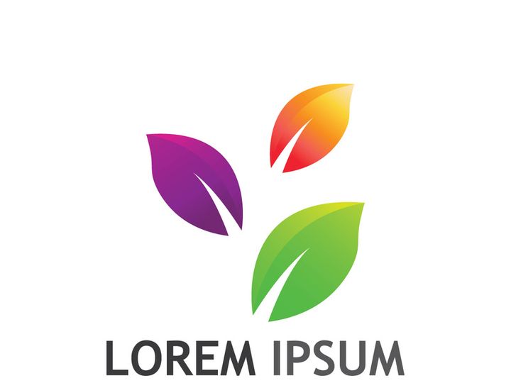 Colorful natural leaf logo design.