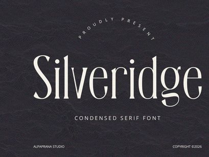 Silveridge - Serif Font