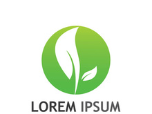 Natural green leaf logo design.