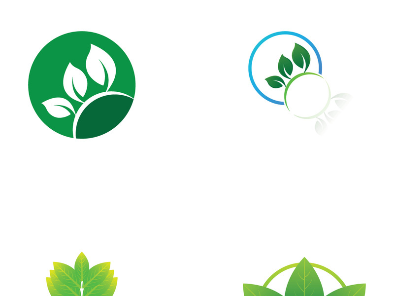 Natural green leaf logo design.