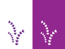 Fresh lavender flower logo vector flat design