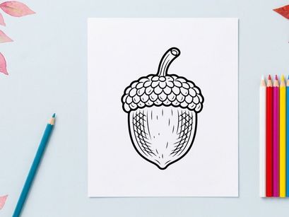 Close-up of a detailed hand-drawn acorn illustration. Artistic botanical sketch for nature-themed projects.