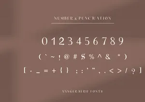 Vanger _ modern serif font