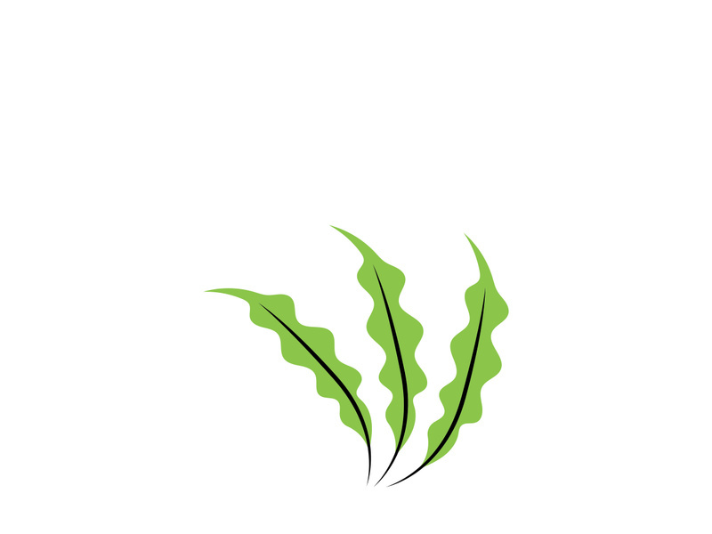 seaweed vector illustration template