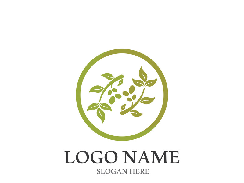 olive icon vector illustration design template